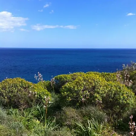 Alojamento de Acomodação e Pequeno-almoço Majestade 3*
