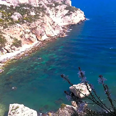 Majestade Cagliari