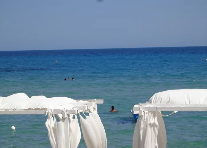 Majestade カリアリ